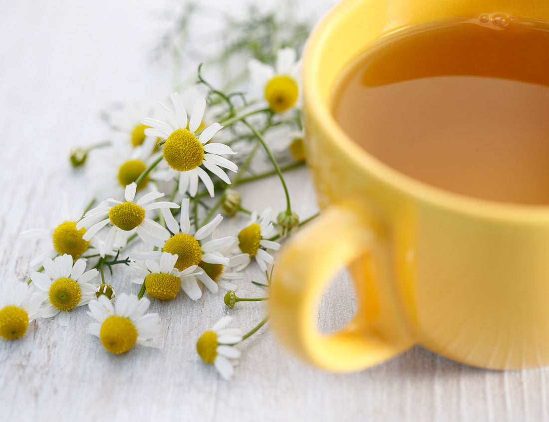 Whole camomile buds