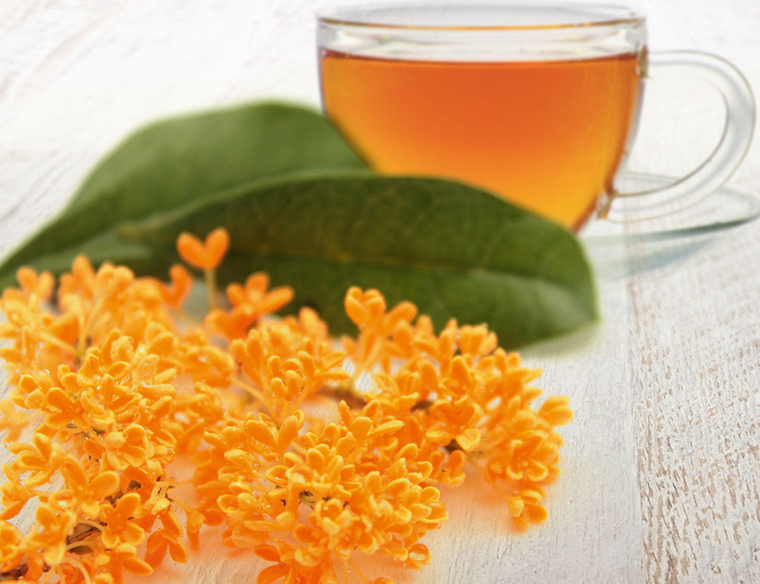Osmanthus Green