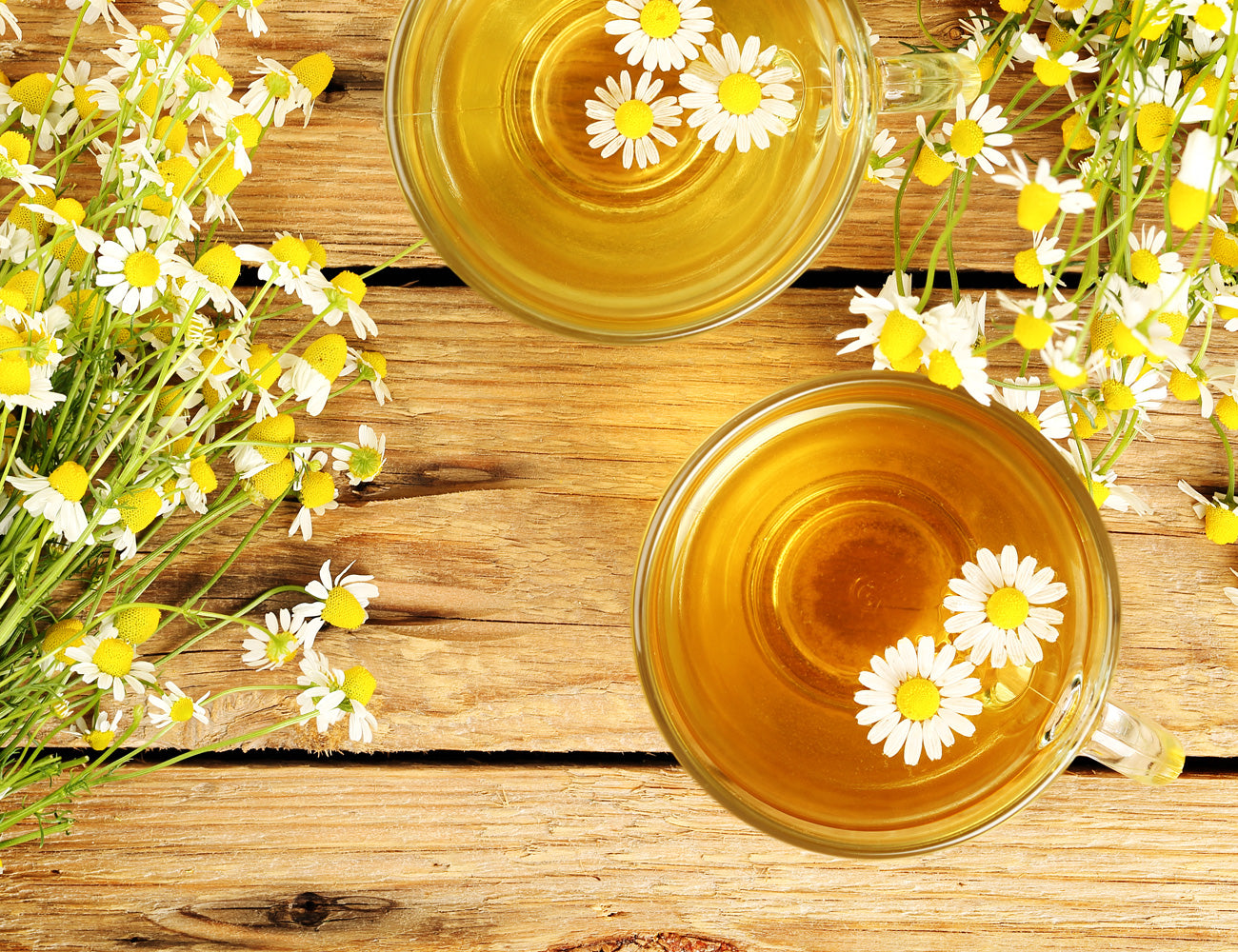 Camomile Tea