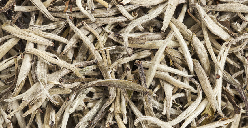 Premium Loose White Tea