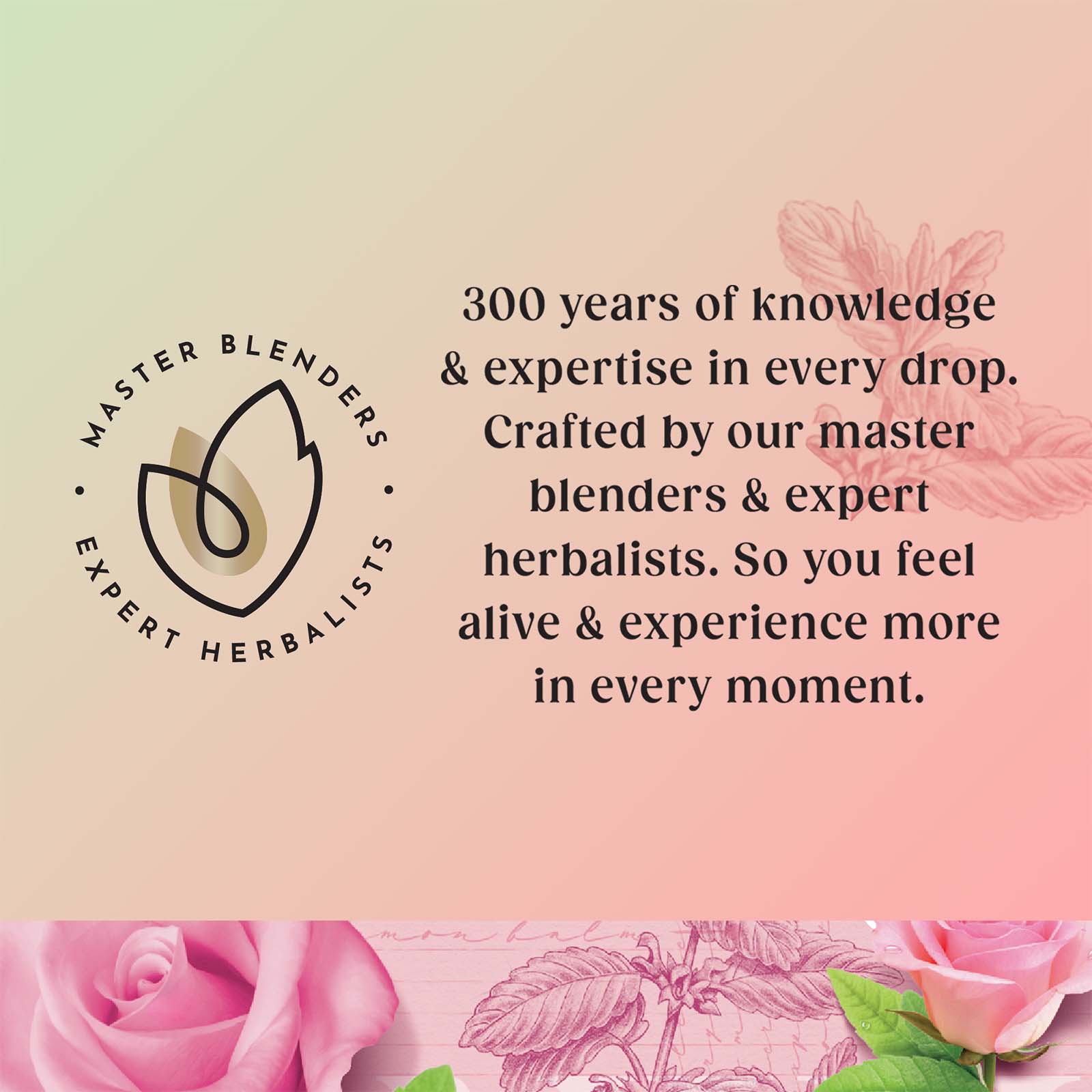 Superblends Balance - 4 x 20 Envelopes