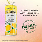Twinings Sparkling Tea Boost 12 Pack