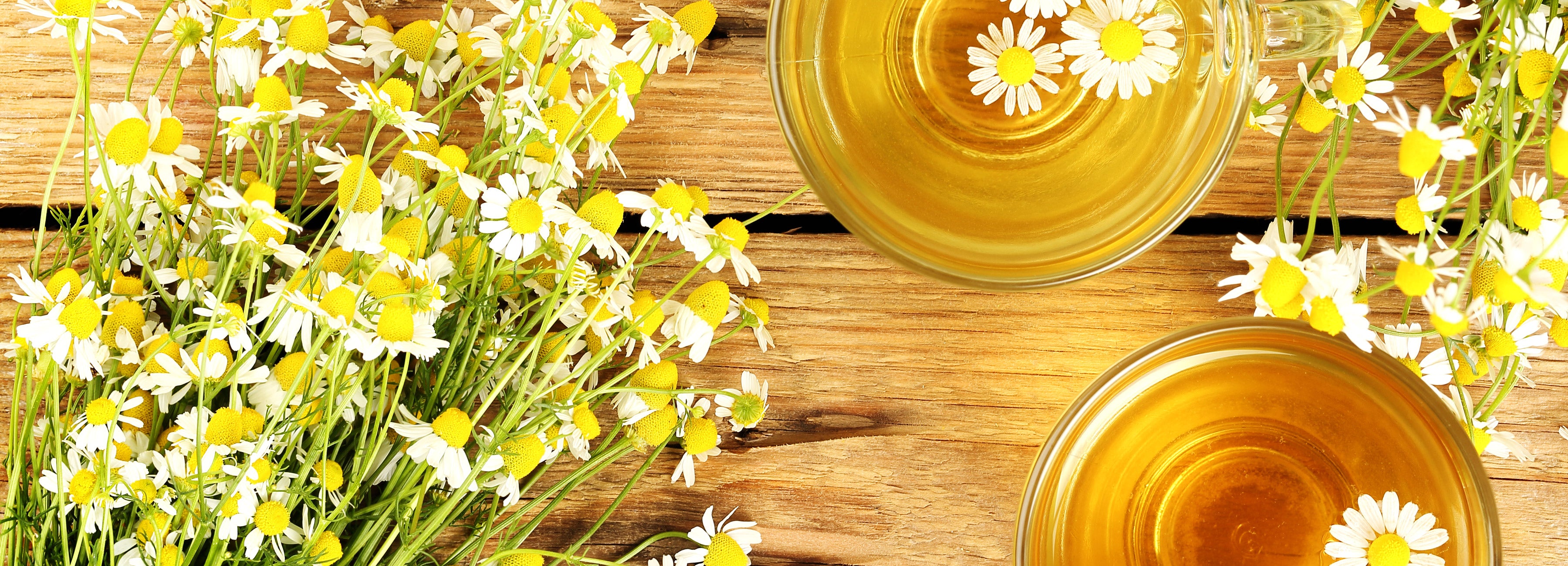 Camomile Tea Banner Desktop