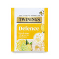 Defence - Single Envelope