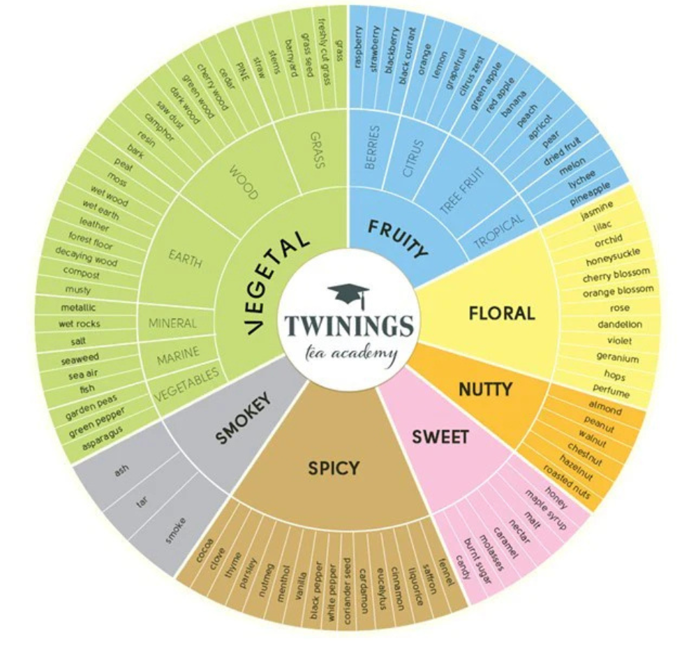 Tasting Notes and Flavour Wheel: Look | Smell | Taste