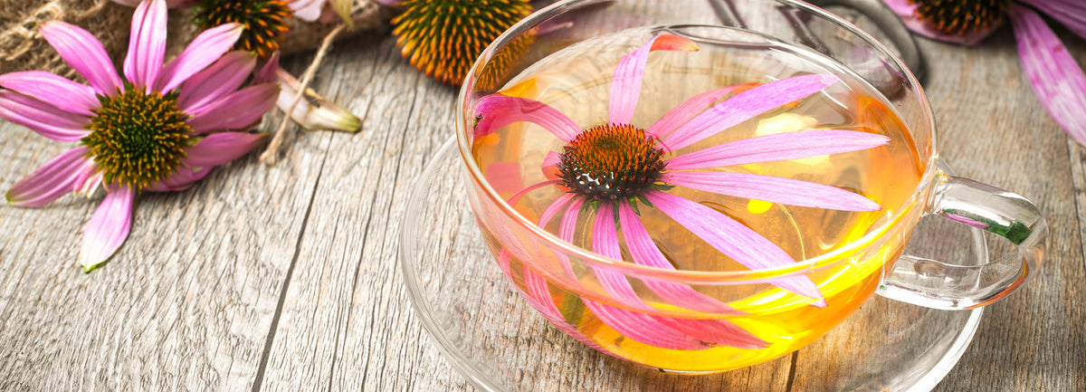 Flower Tea Banner Desktop