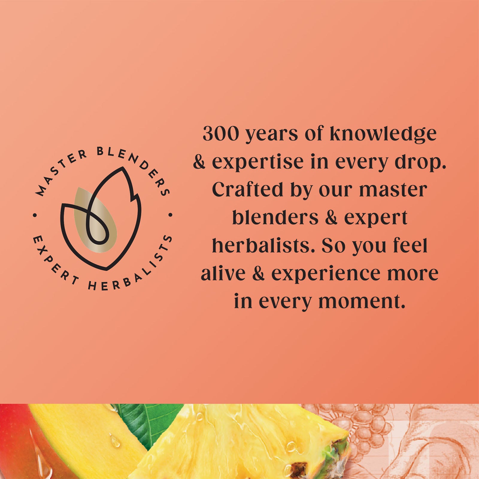 Superblends Focus - 20 Envelopes