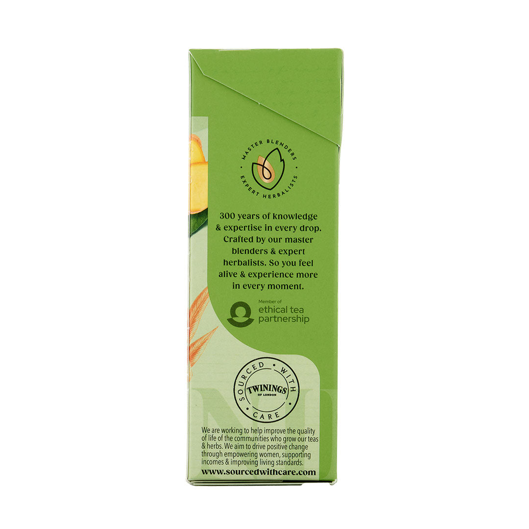 Green Tea & Ginger - 20 Tea Bags