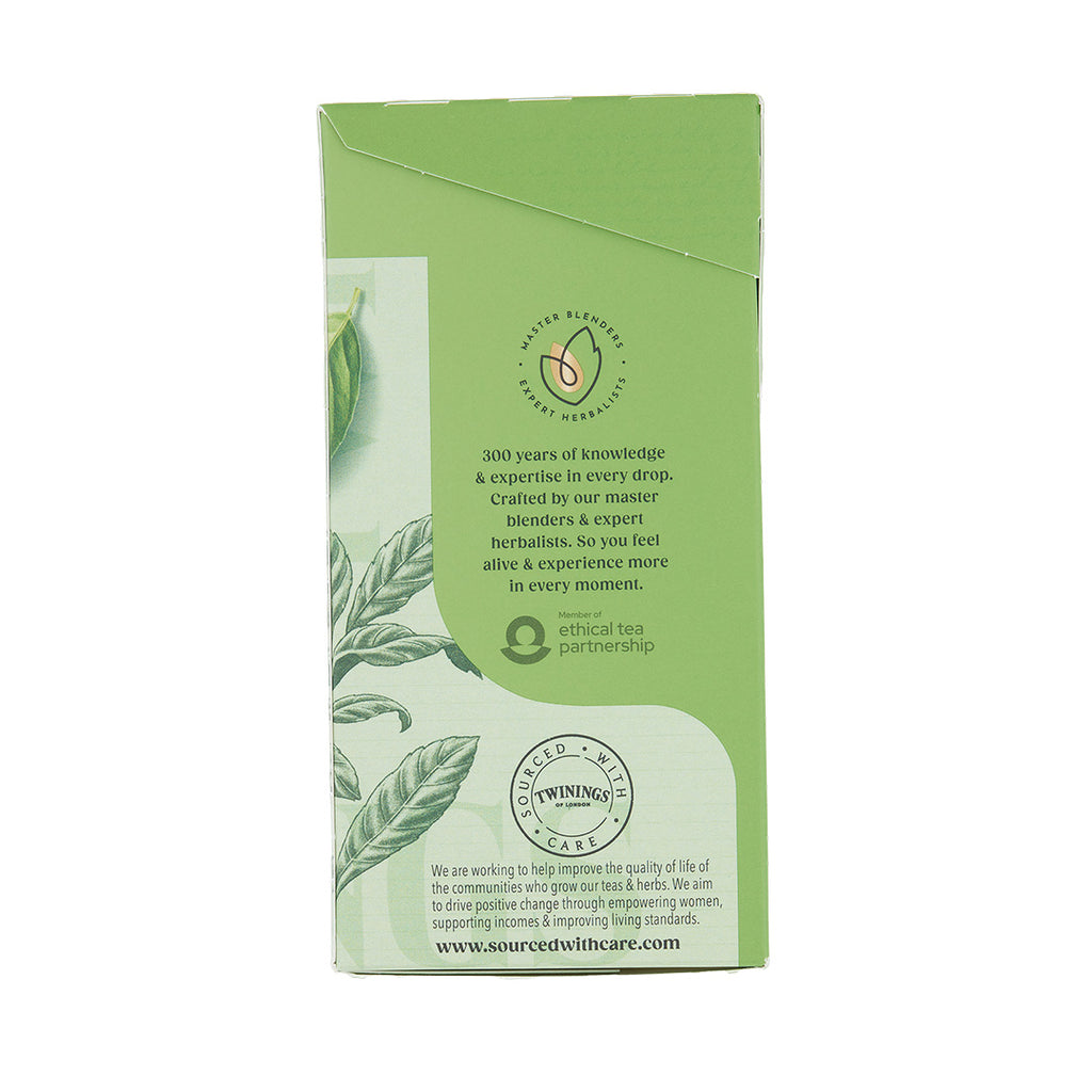 Green Tea & Black Tea Blend - 80 Tea Bags