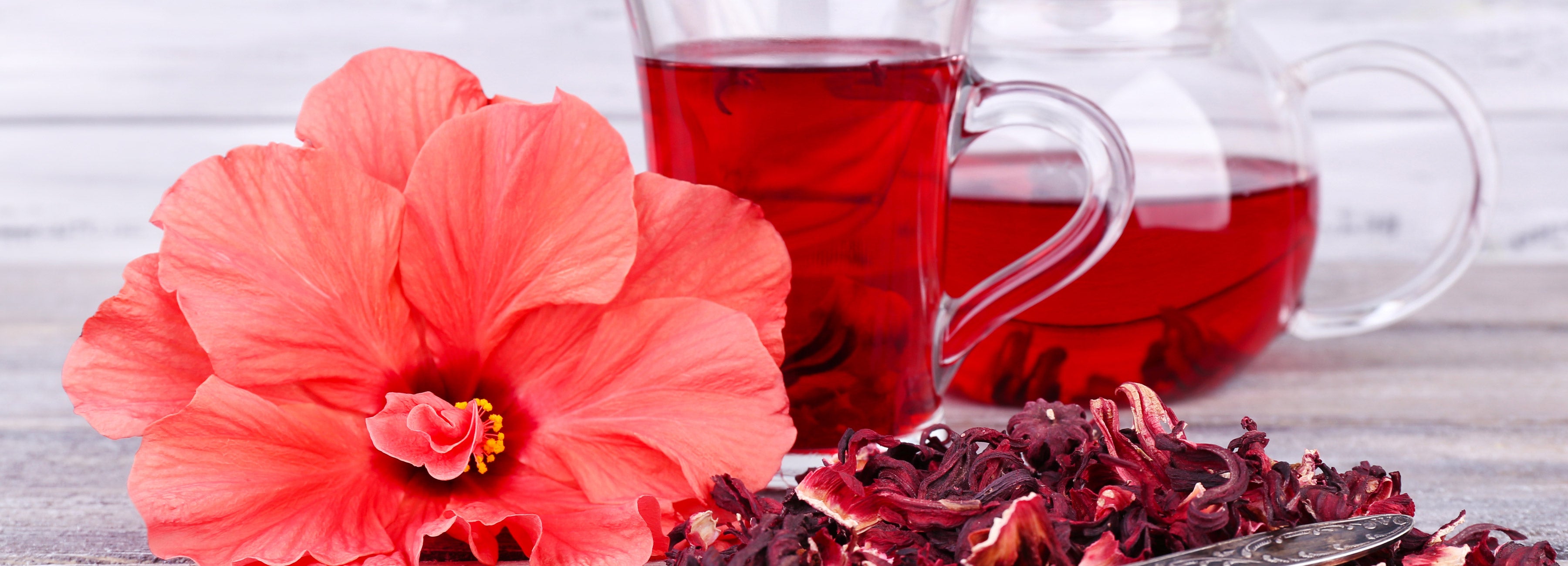 Hibiscus Tea Banner Desktop