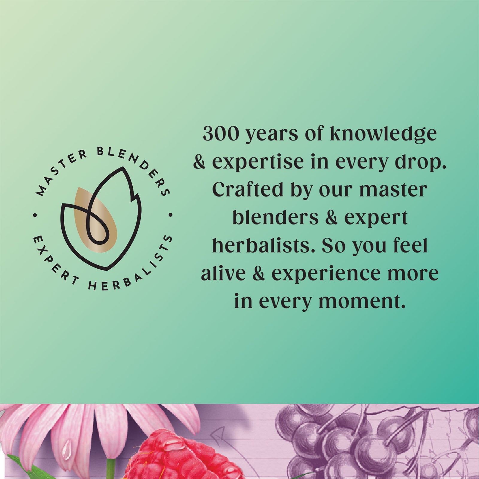 Superblends Immune Support - 20 Envelopes