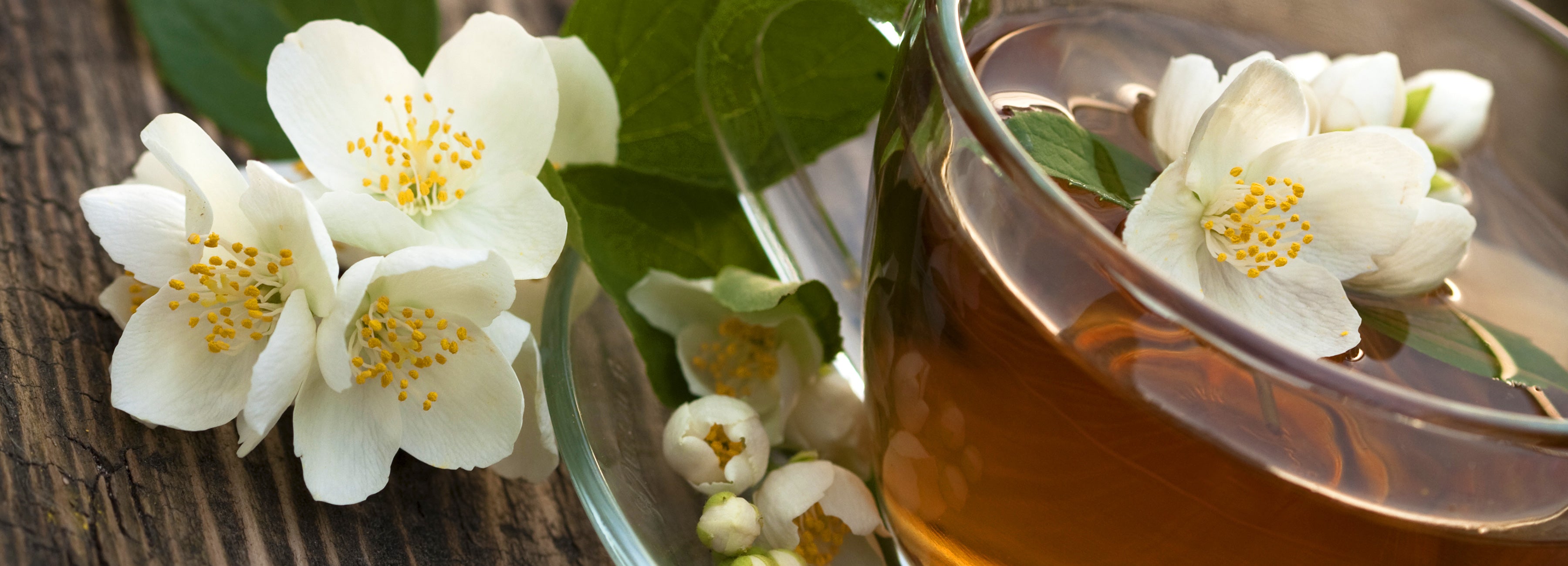 Jasmine Tea Banner Desktop