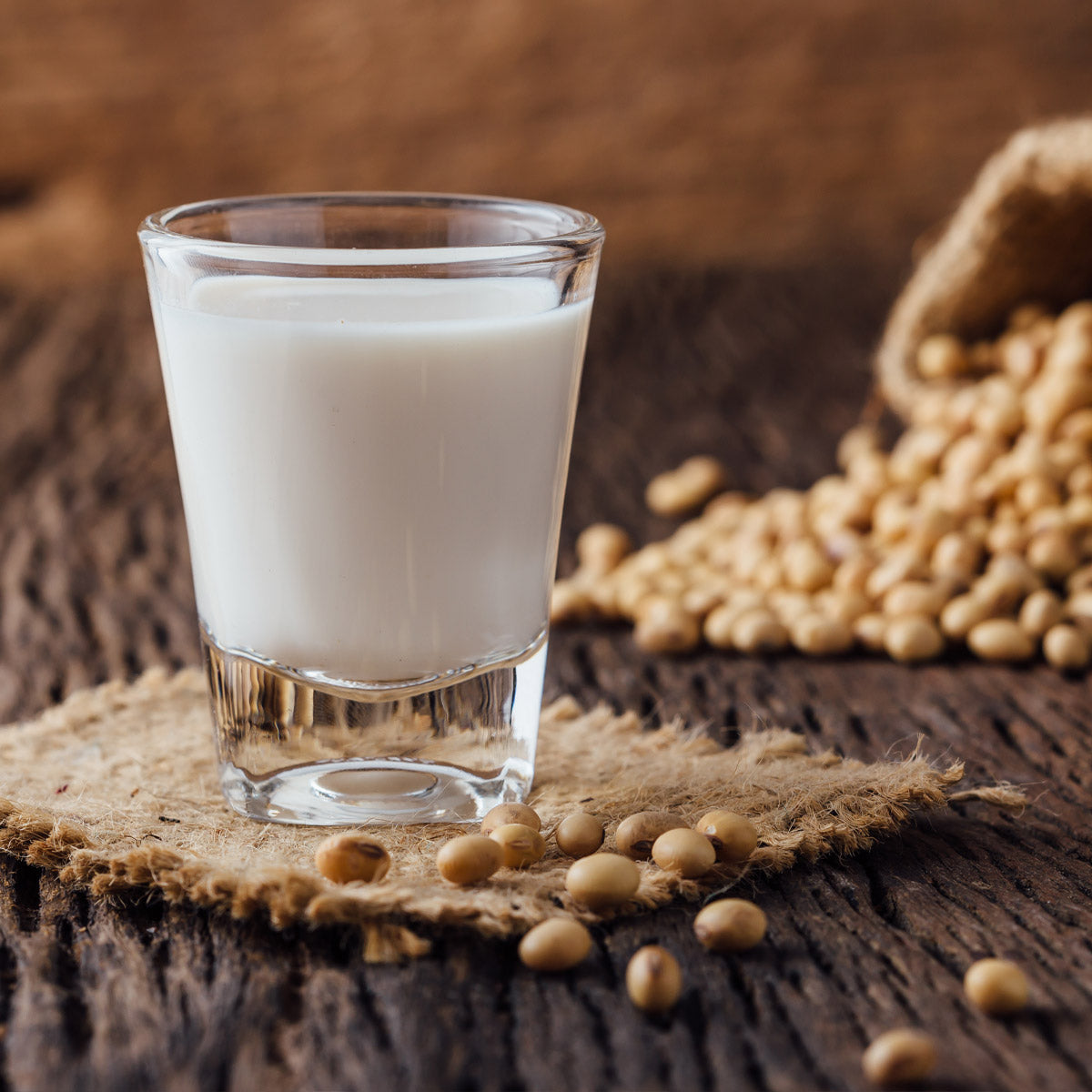 Lactose Intolerance or Nut Allergy Milk Alternative