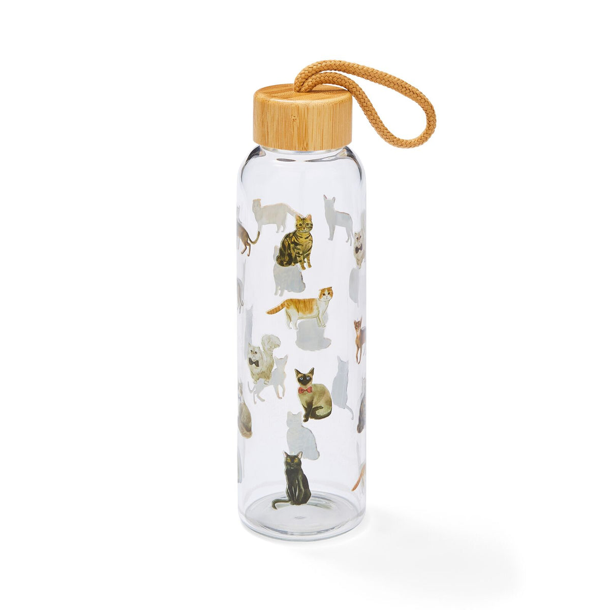 Clear glass water bottle with colourful cat illustrations, bamboo-effect screw-top lid and carry loop.