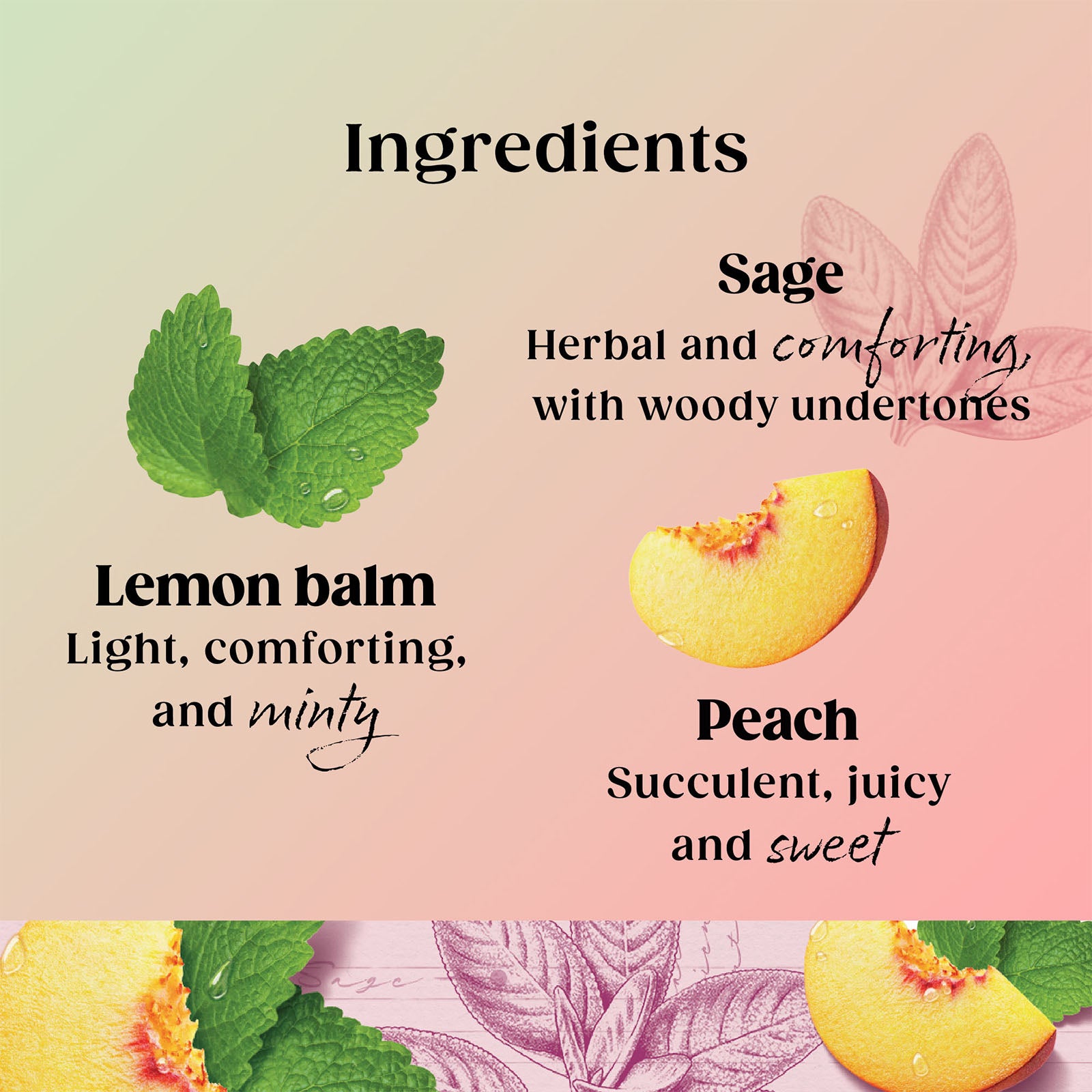 Superblends Menopause Tea Peach Lemon Balm Sage Green Tea Vitamin