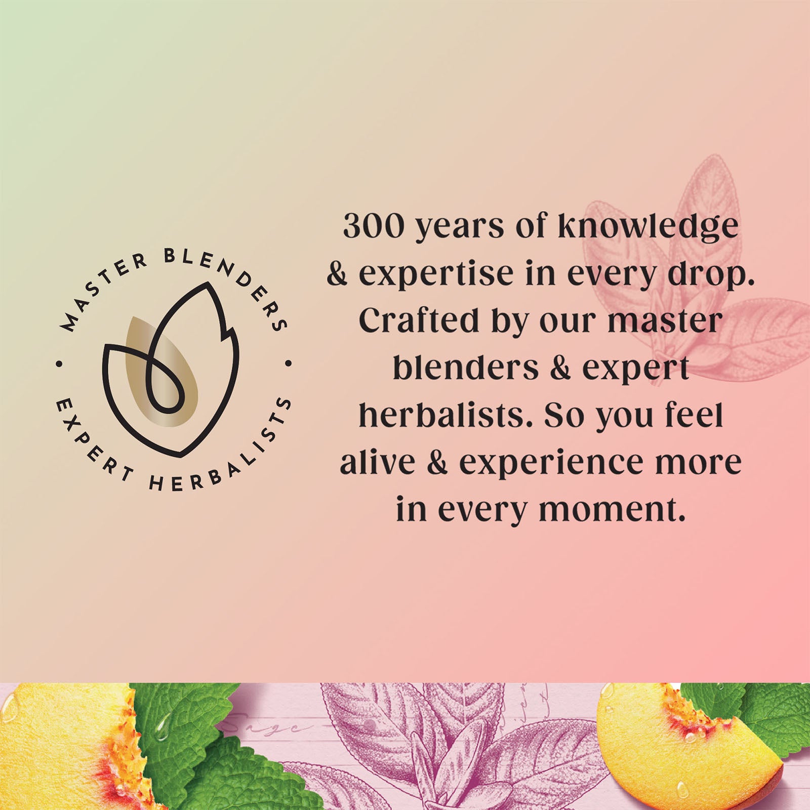 Superblends Menopause Tea Peach Lemon Balm Sage Green Tea Vitamin