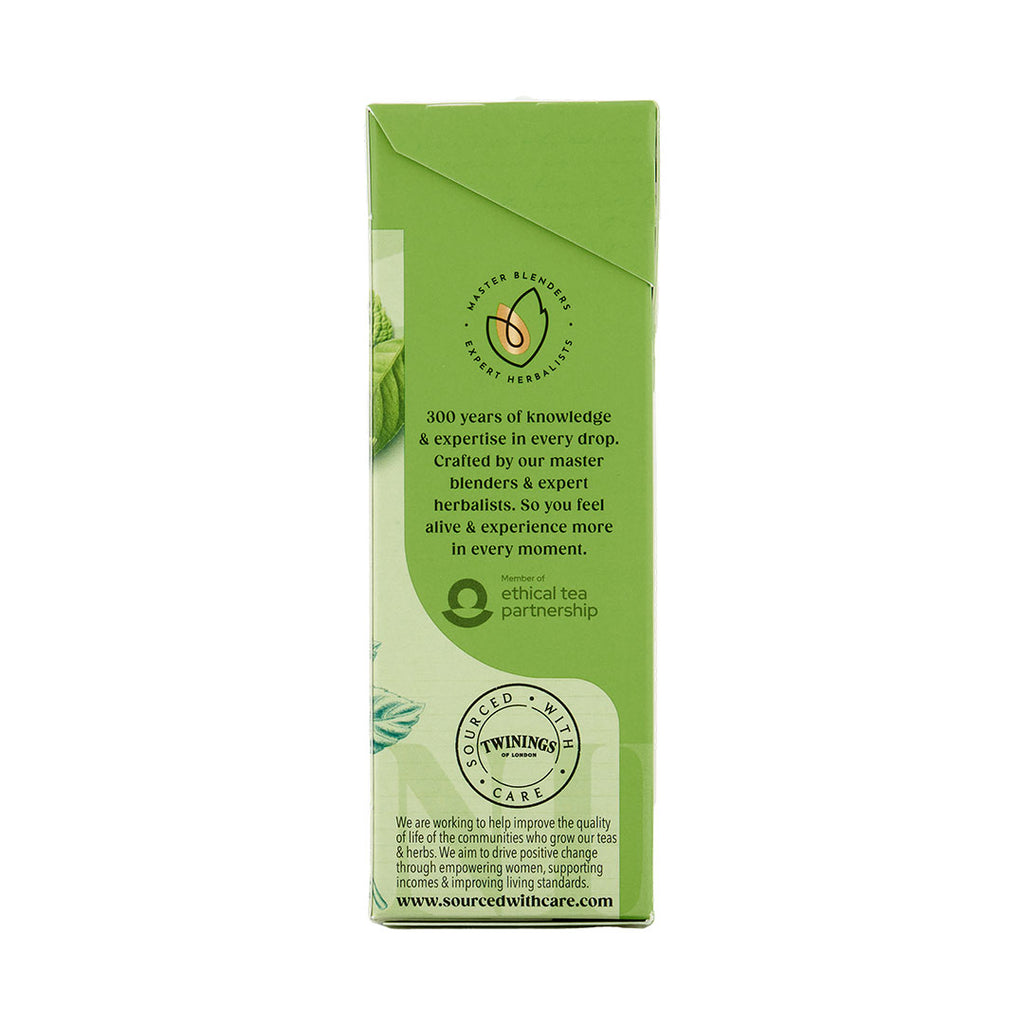 Green Tea & Mint - 20 Tea Bags