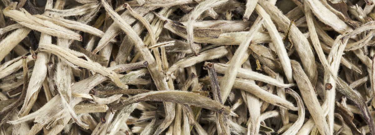 Premium Loose White Tea Banners Desktop