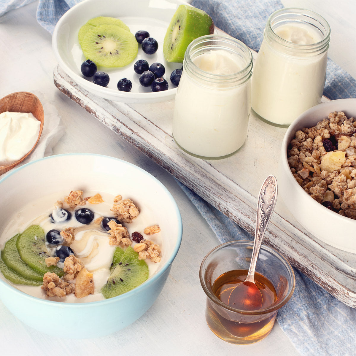 Prebiotics Vs Probiotics