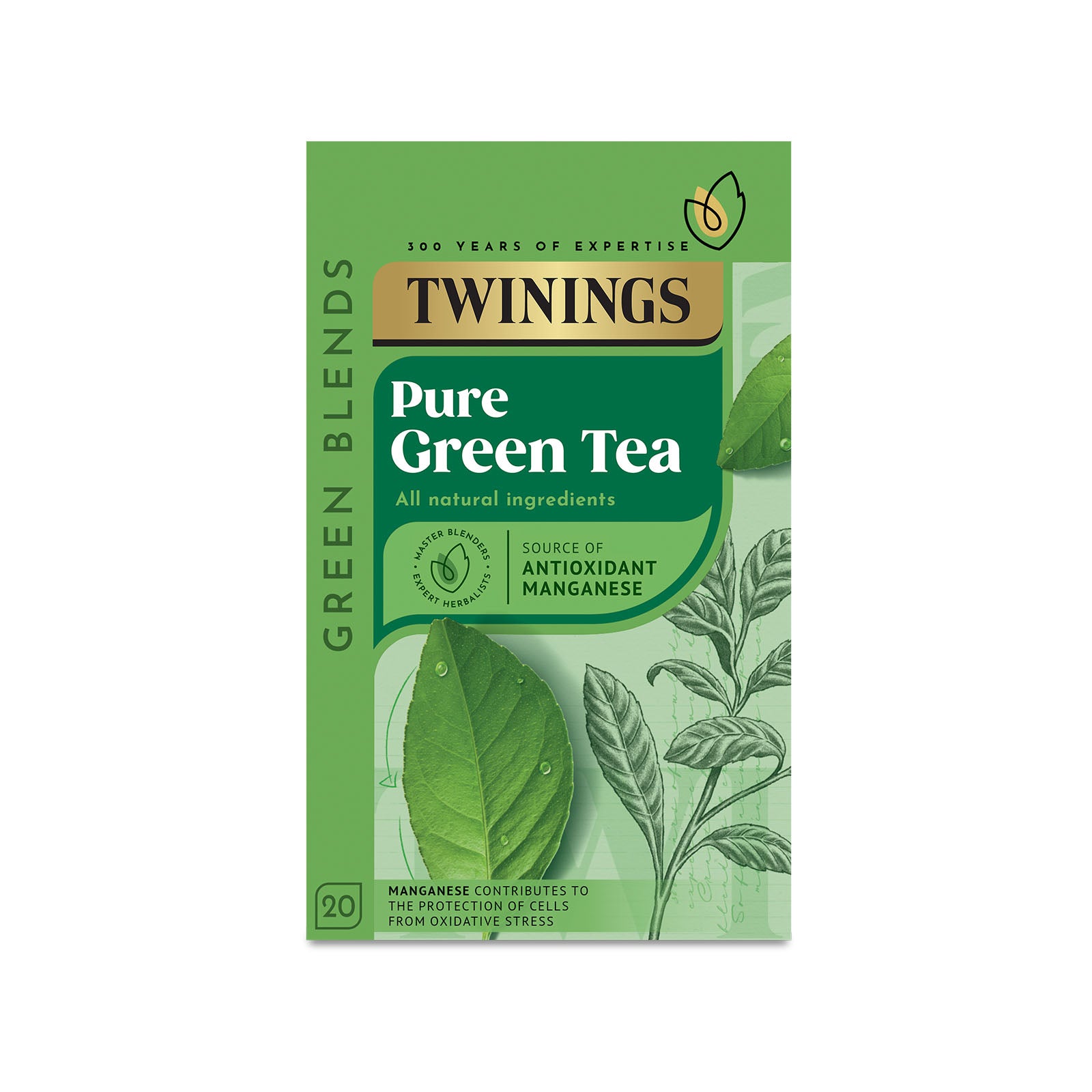 Pure Green Tea - 20 Tea Bags