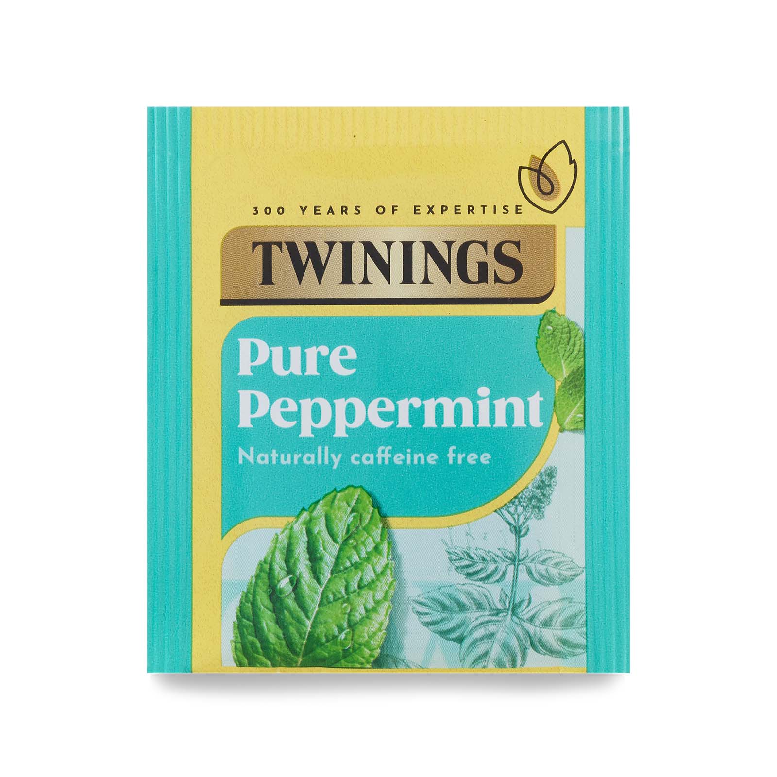 Pure Peppermint Single Envelope