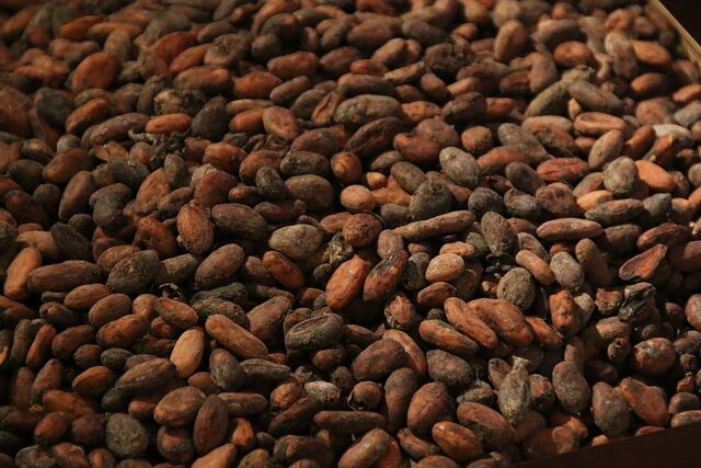 Our Cocoa