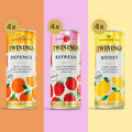 Twinings Sparkling Tea - 12 Can Selection Pack