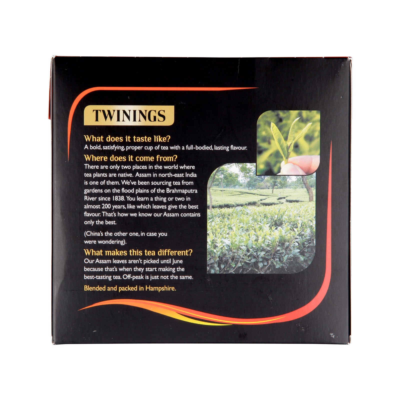 Twinings tea packaging with text and images of a tea field.