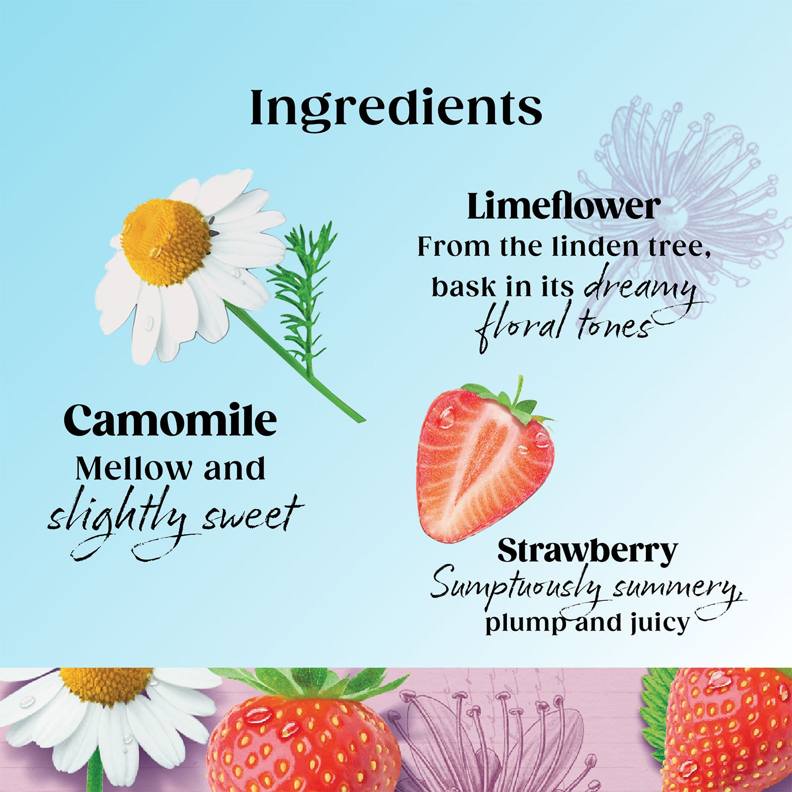 Superblends Unwind - 4 x 20 Envelopes