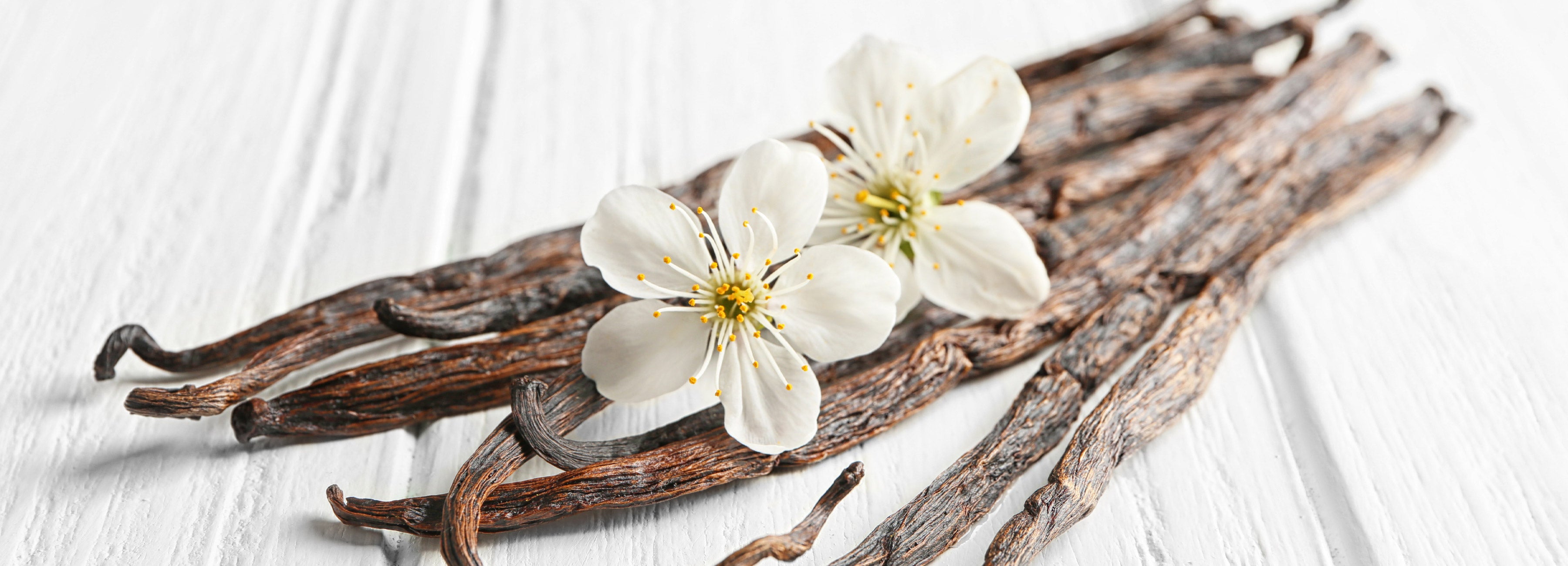 Vanilla Tea Banners Desktop