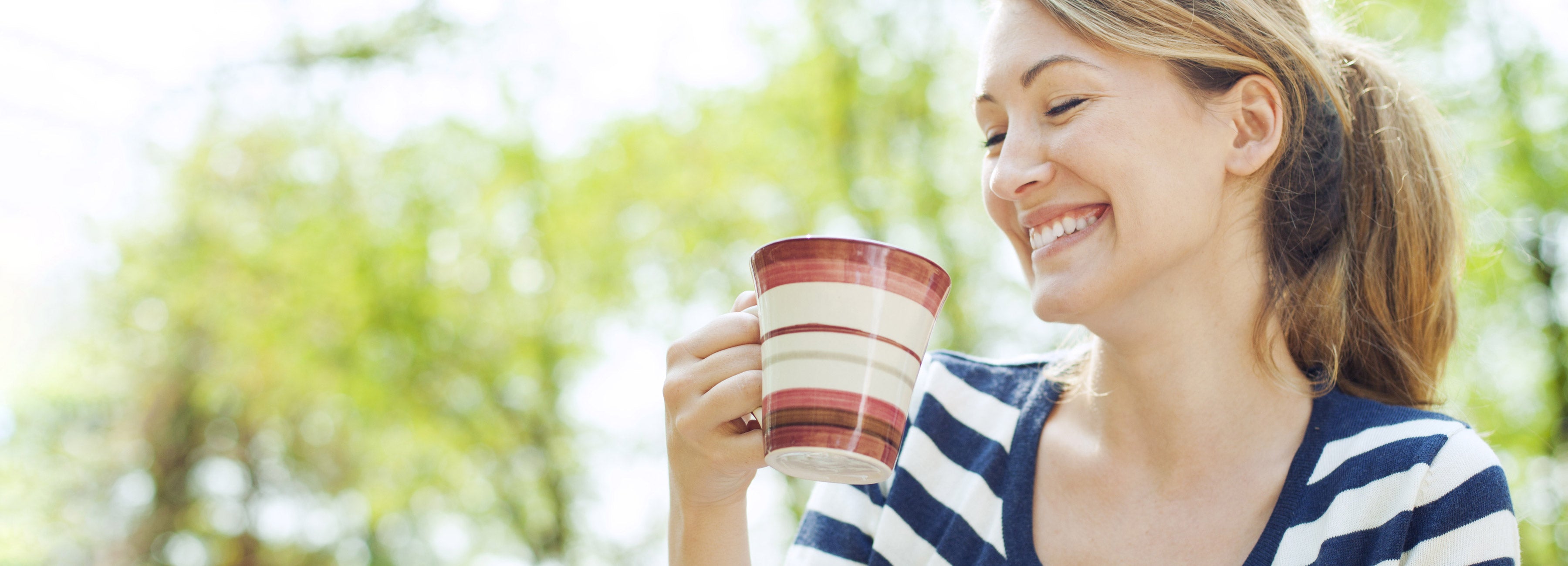 Wellness Tea Banners Desktop