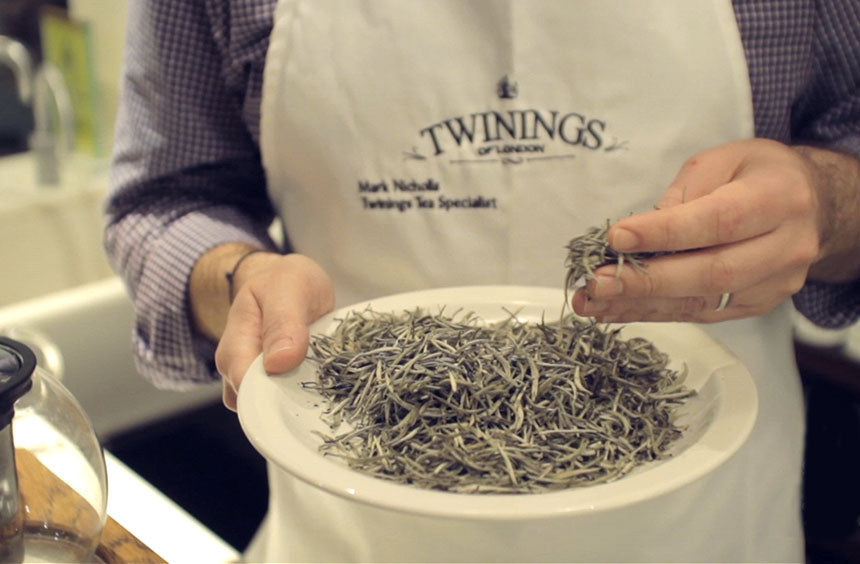 Brewing, Serving and Tasting Your Tea