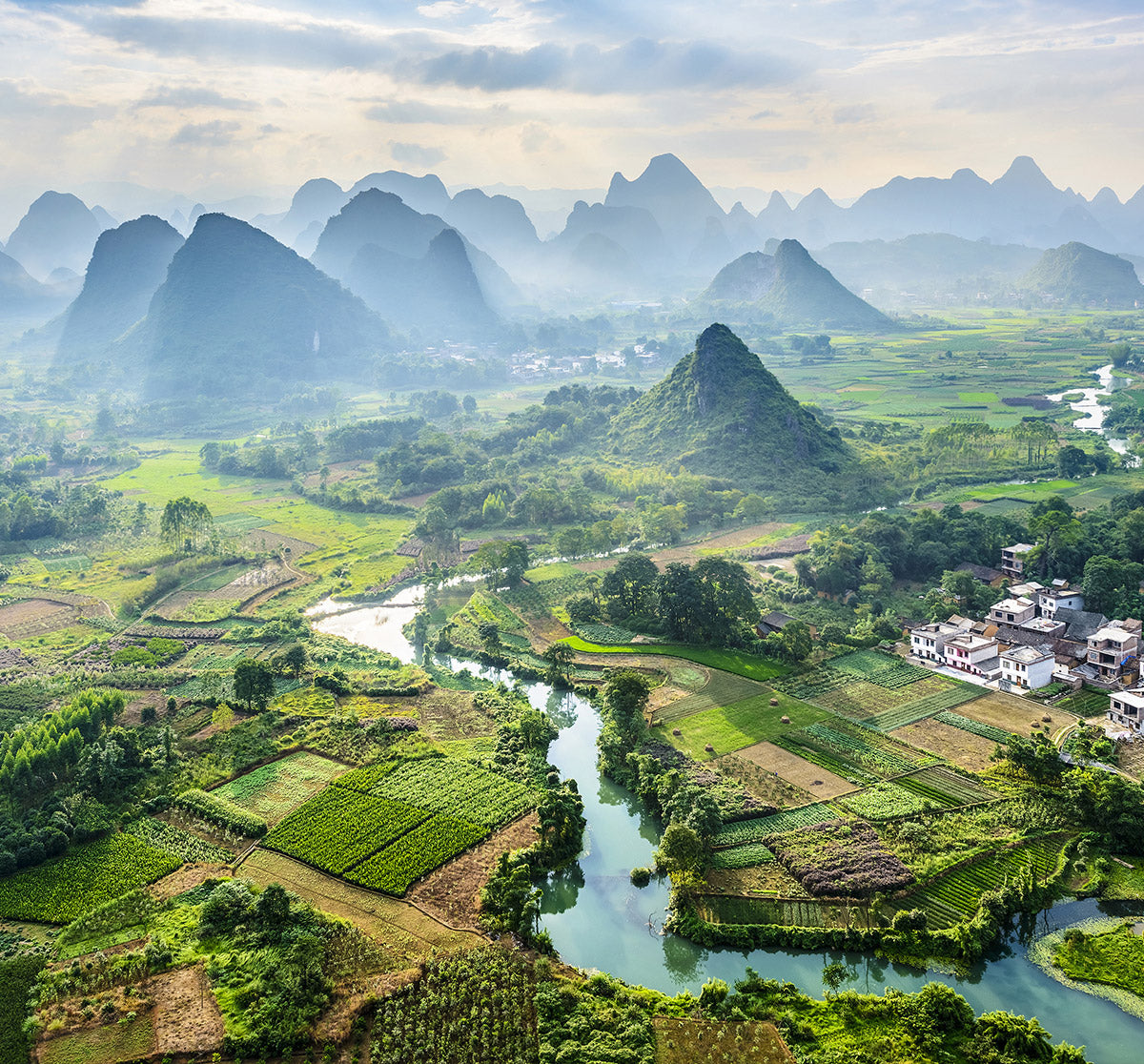 The origins of tea in China