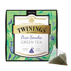 Discovery Collection Pure Sencha Green Tea - 15 Pyramid Tea Bags