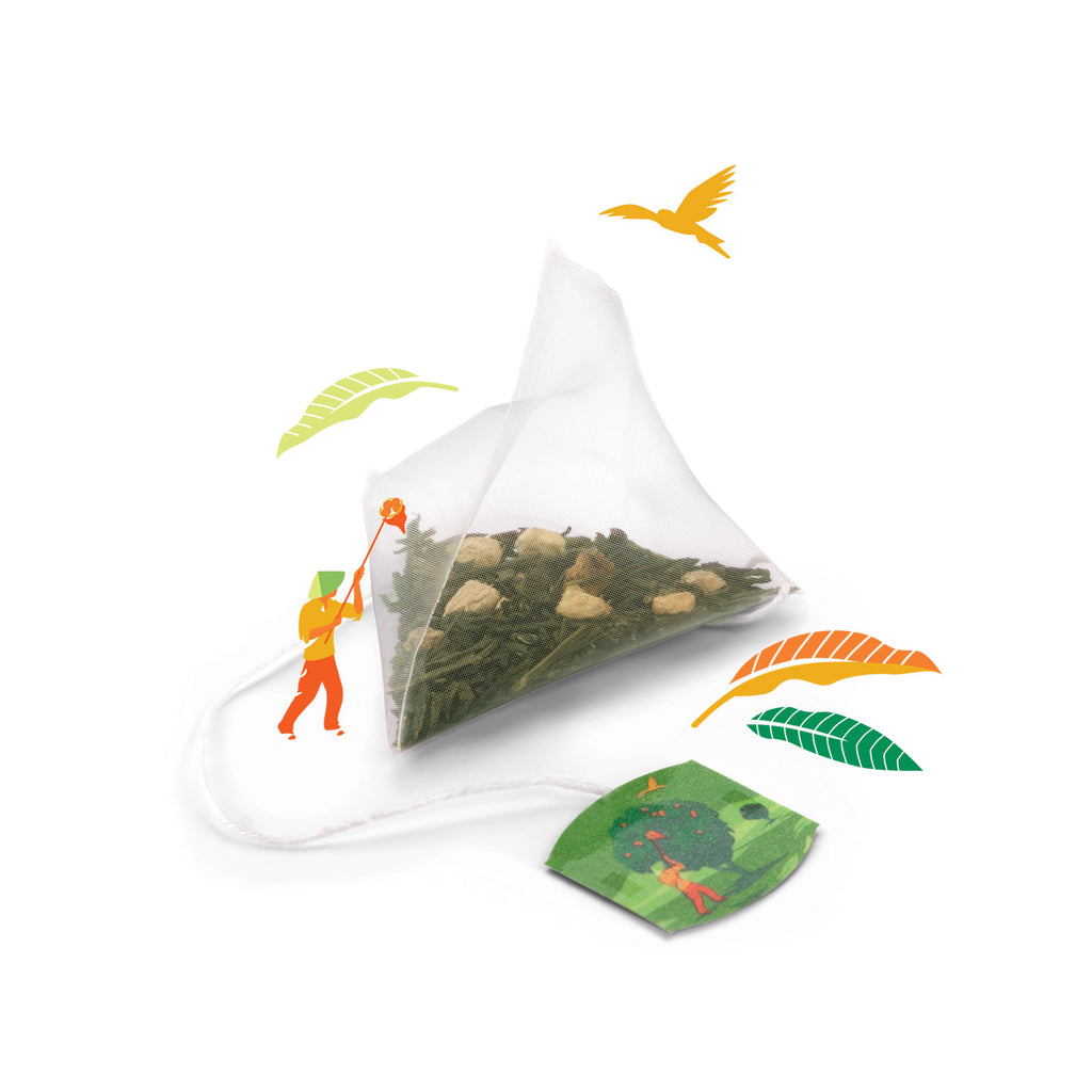 Discovery Collection Mango & Ginger Green Tea - 15 Pyramid Tea Bags