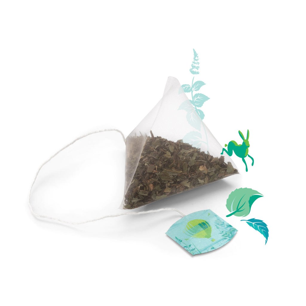 Discovery Collection Medley of Mint - 15 Pyramid Tea Bags