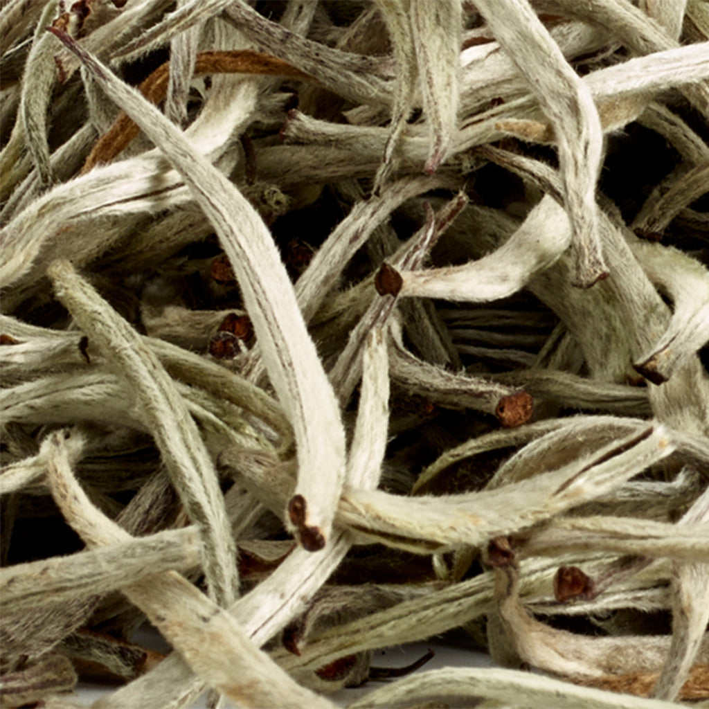 Java Silver Tips - 50g Loose Leaf Tea
