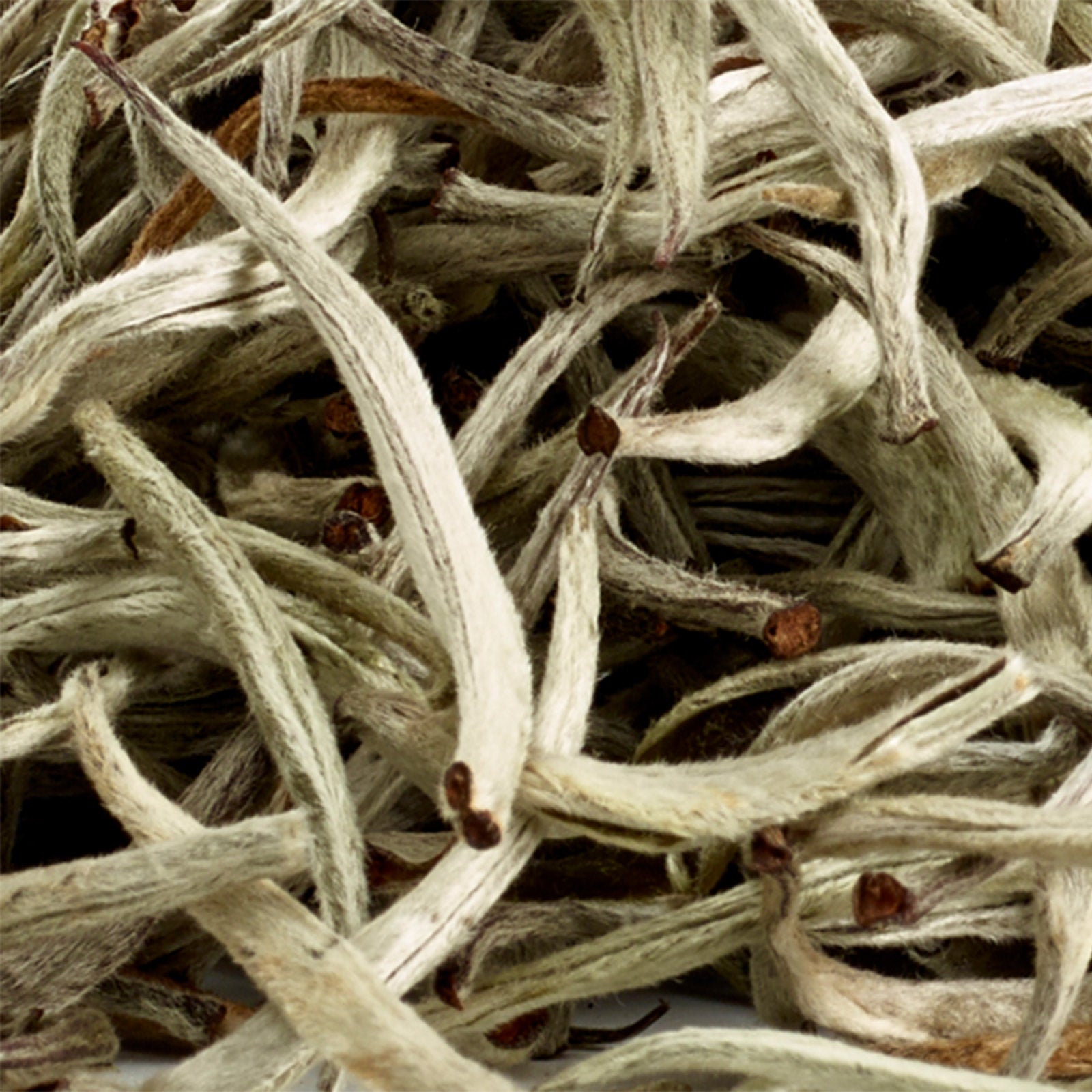 Java Silver Tips - 50g Loose Leaf Tea