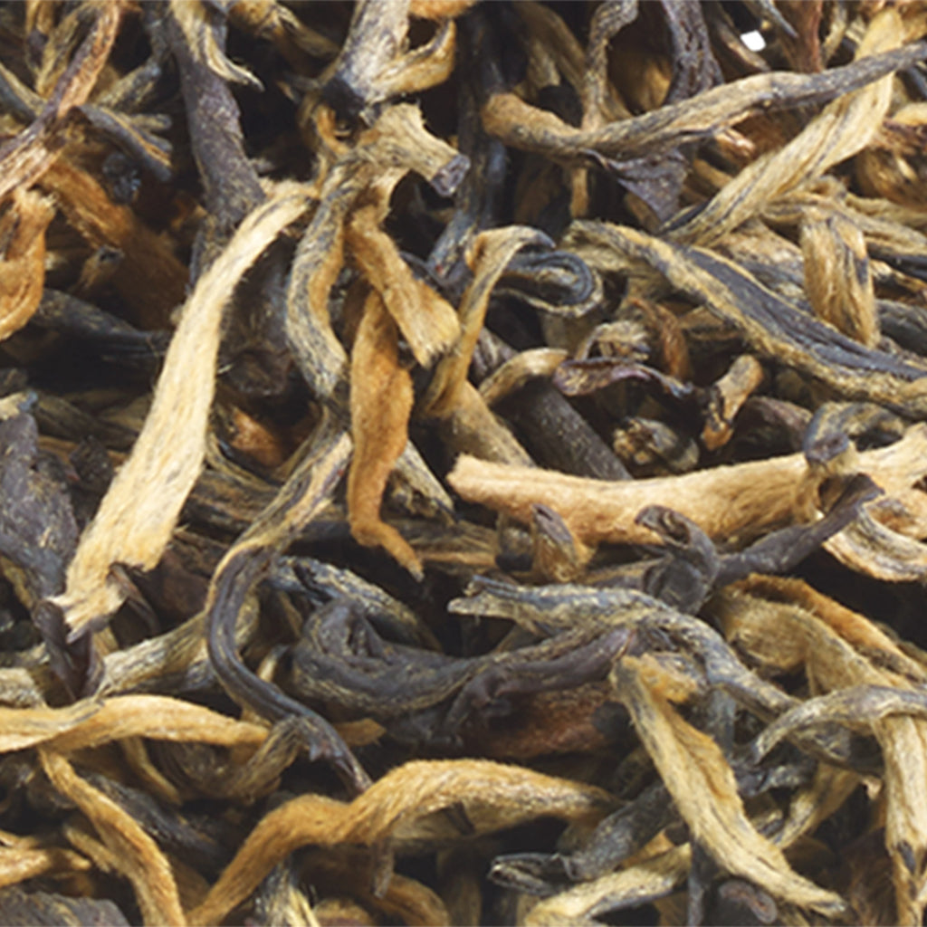 Yunnan Gold Tip - 75g Loose Leaf Tea
