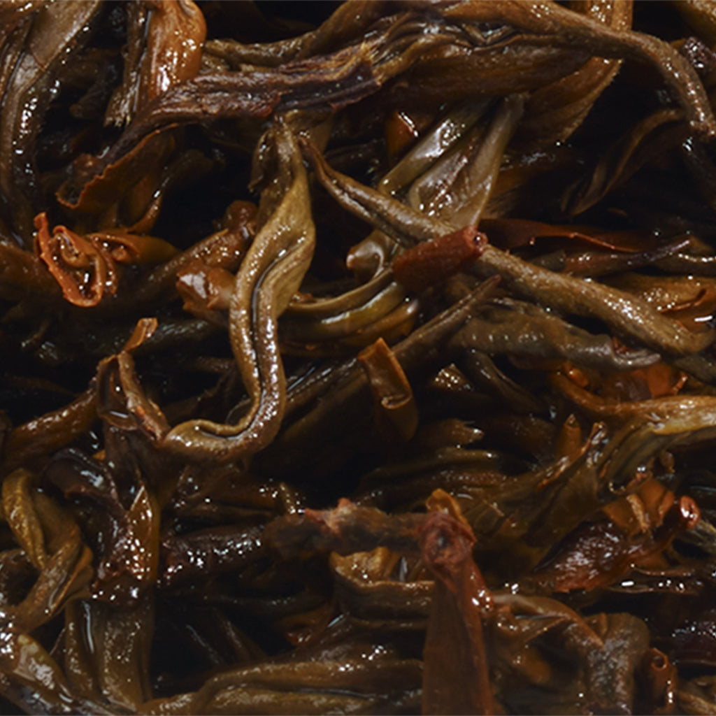 Yunnan Gold Tip - 75g Loose Leaf Tea